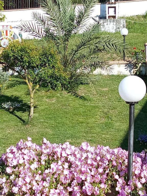 B&B Stella Del Cilento Di Anna Botti Agropoli Buitenkant foto